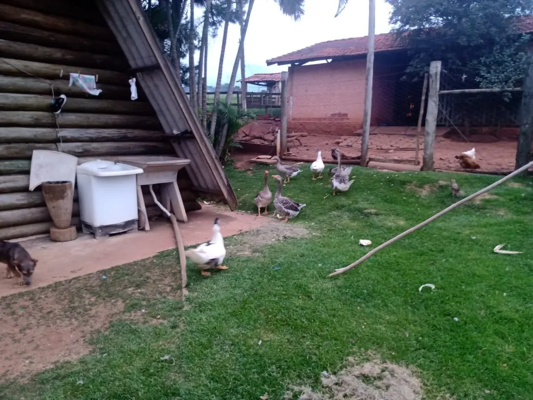 Sítio à venda de 12 ha em Itapetininga, SP, Brasil