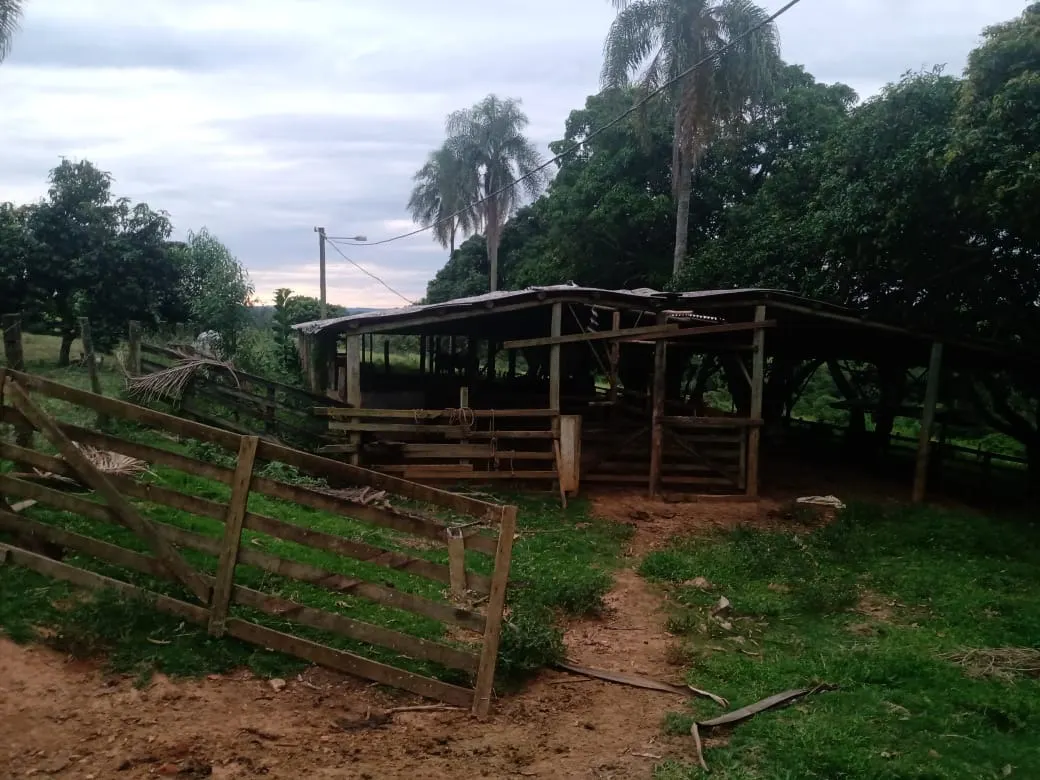 Sítio à venda de 12 ha em Itapetininga, SP, Brasil