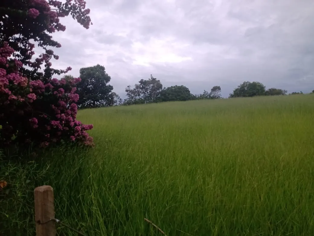 Sítio à venda de 12 ha em Itapetininga, SP, Brasil
