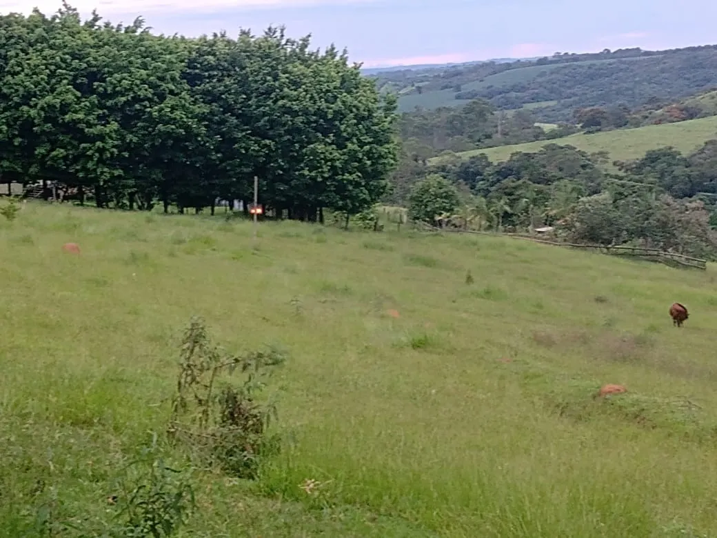 Sítio à venda de 12 ha em Itapetininga, SP, Brasil