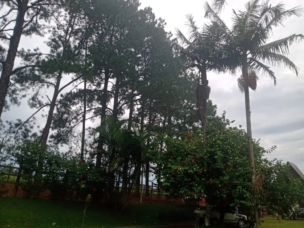 Sítio à venda de 12 ha em Itapetininga, SP, Brasil