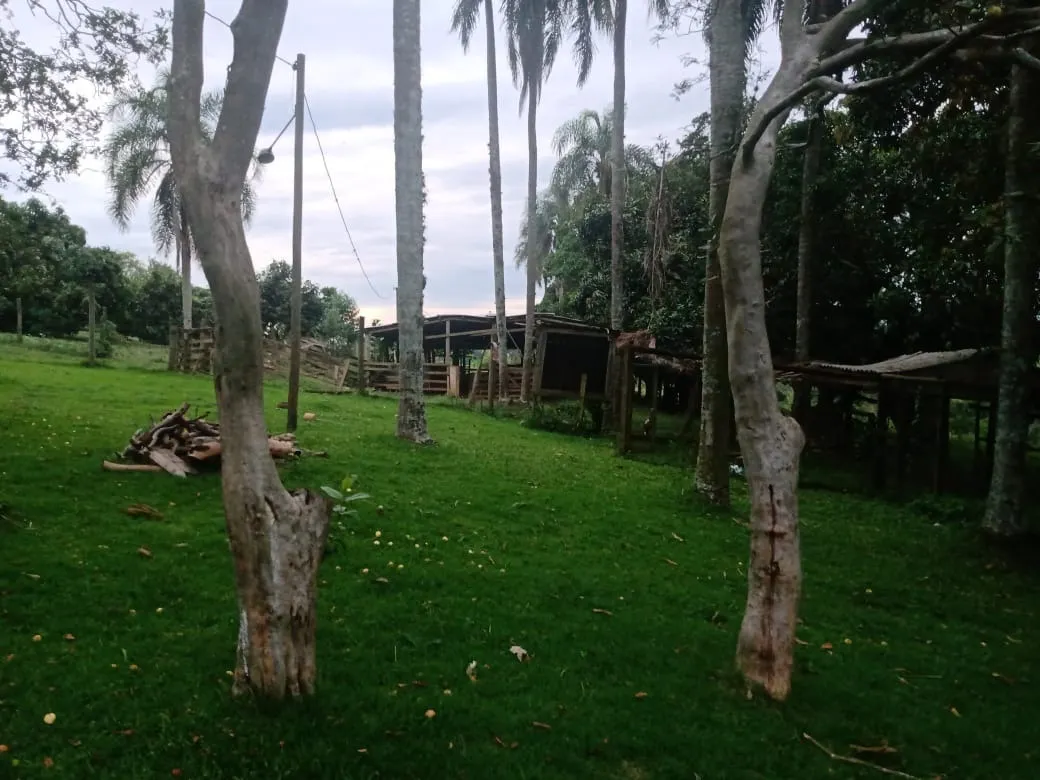 Sítio à venda de 12 ha em Itapetininga, SP, Brasil