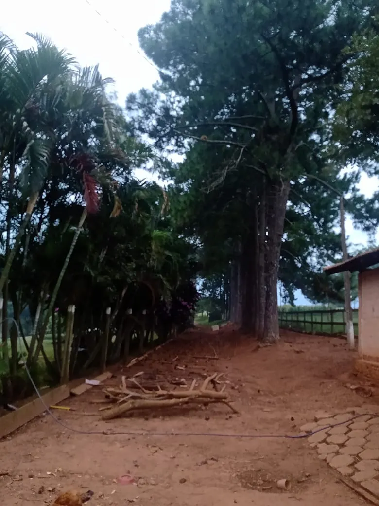 Sítio à venda de 12 ha em Itapetininga, SP, Brasil