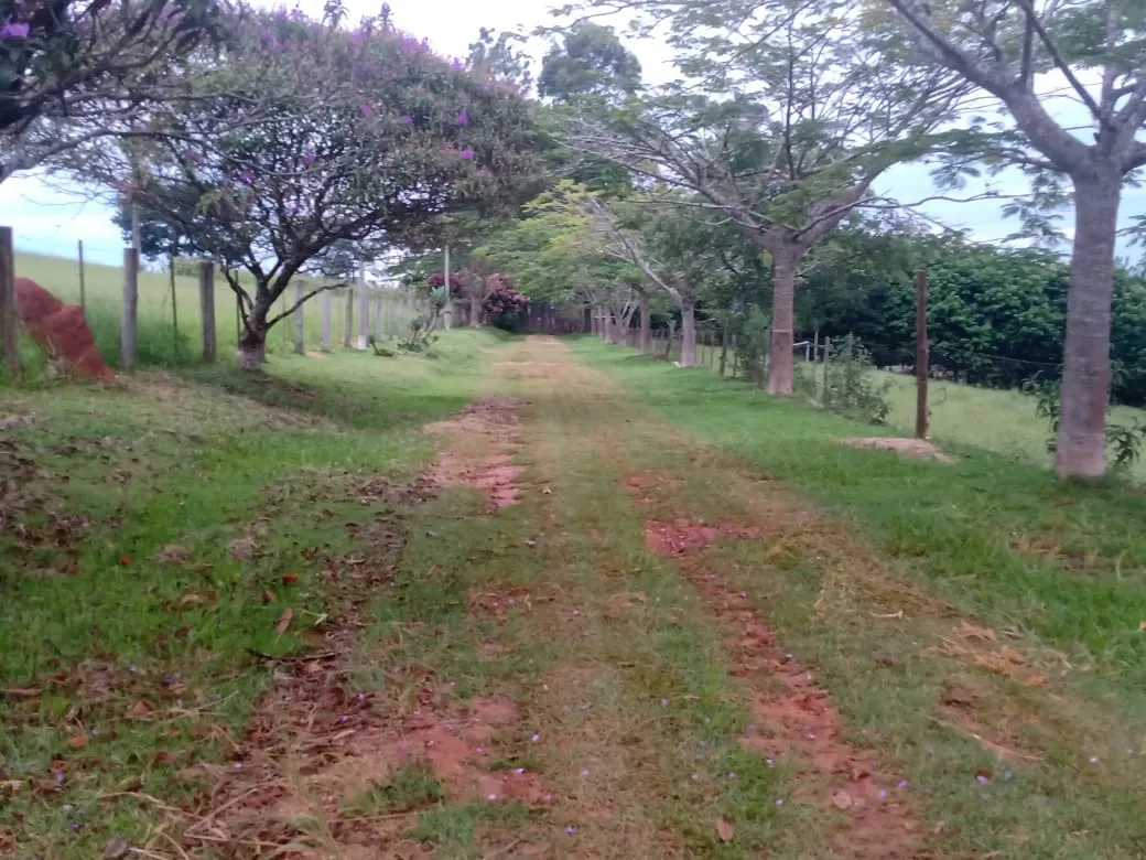Sítio à venda de 12 ha em Itapetininga, SP, Brasil