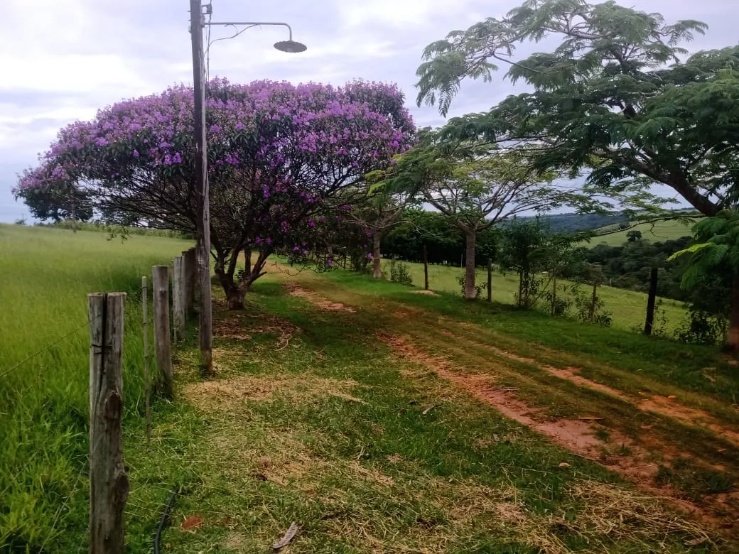 Sítio à venda de 12 ha em Itapetininga, SP, Brasil