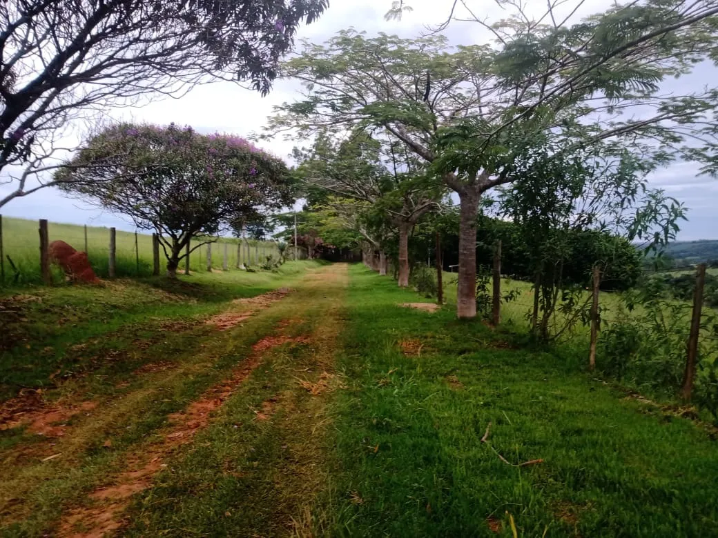 Sítio à venda de 12 ha em Itapetininga, SP, Brasil