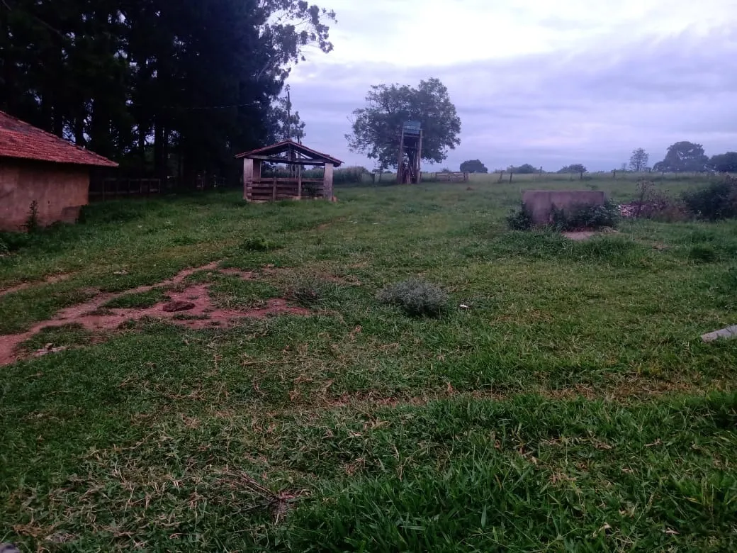 Sítio à venda de 12 ha em Itapetininga, SP, Brasil