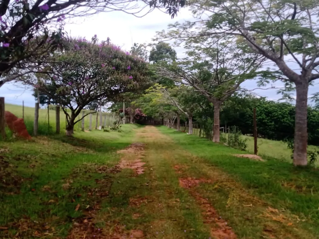 Sítio à venda de 12 ha em Itapetininga, SP, Brasil