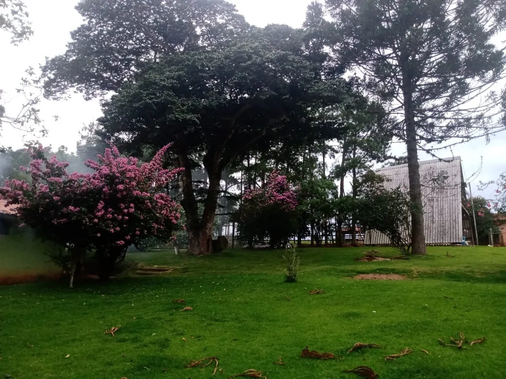 Sítio à venda de 12 ha em Itapetininga, SP, Brasil