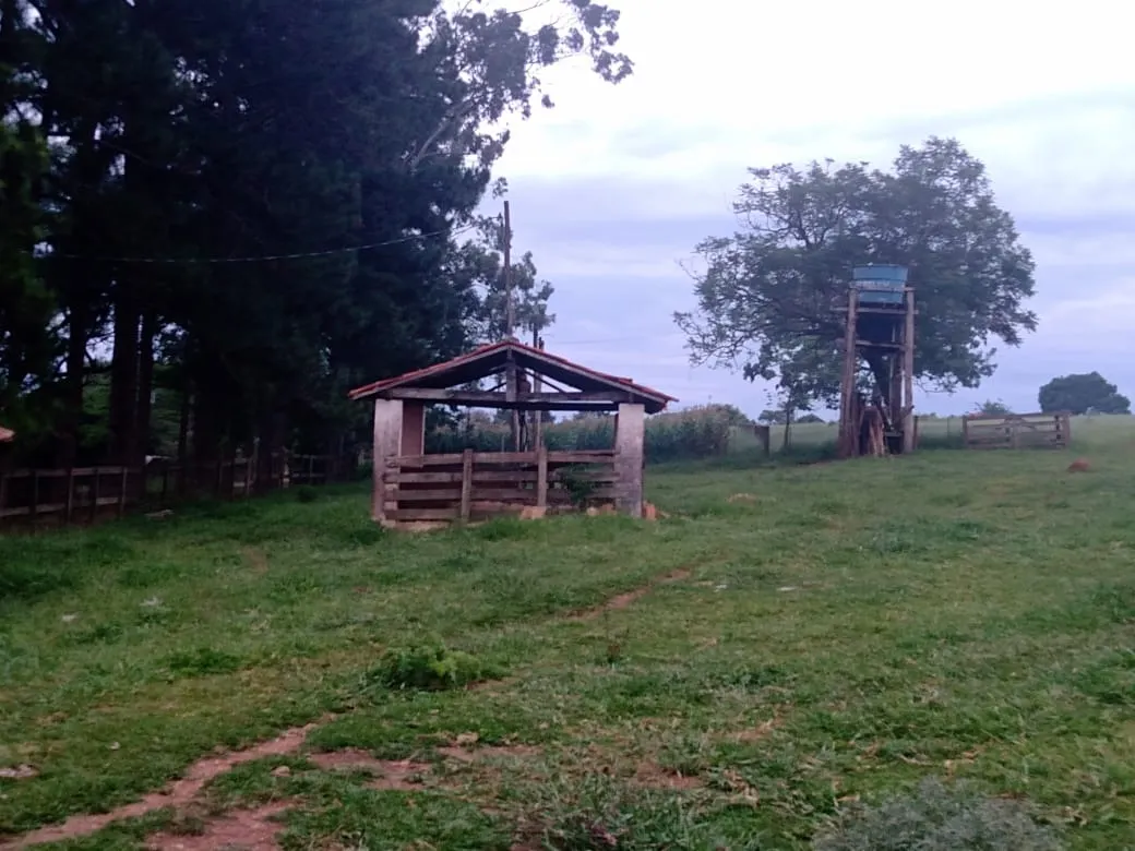 Sítio à venda de 12 ha em Itapetininga, SP, Brasil