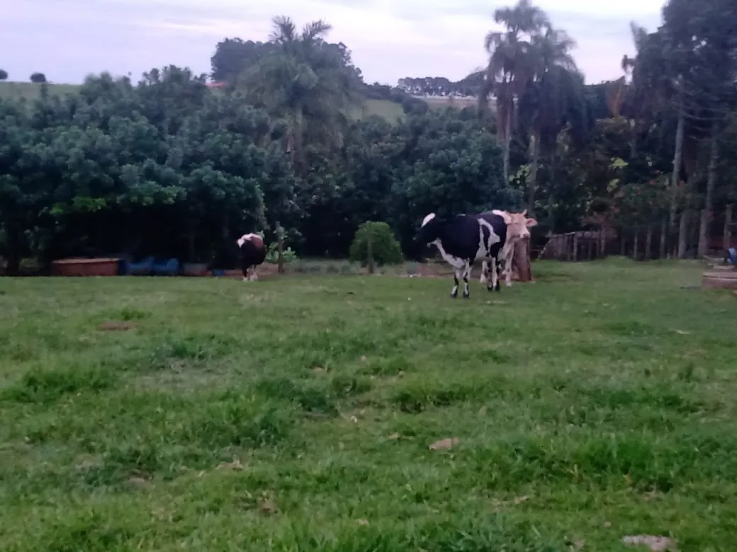 Sítio à venda de 12 ha em Itapetininga, SP, Brasil