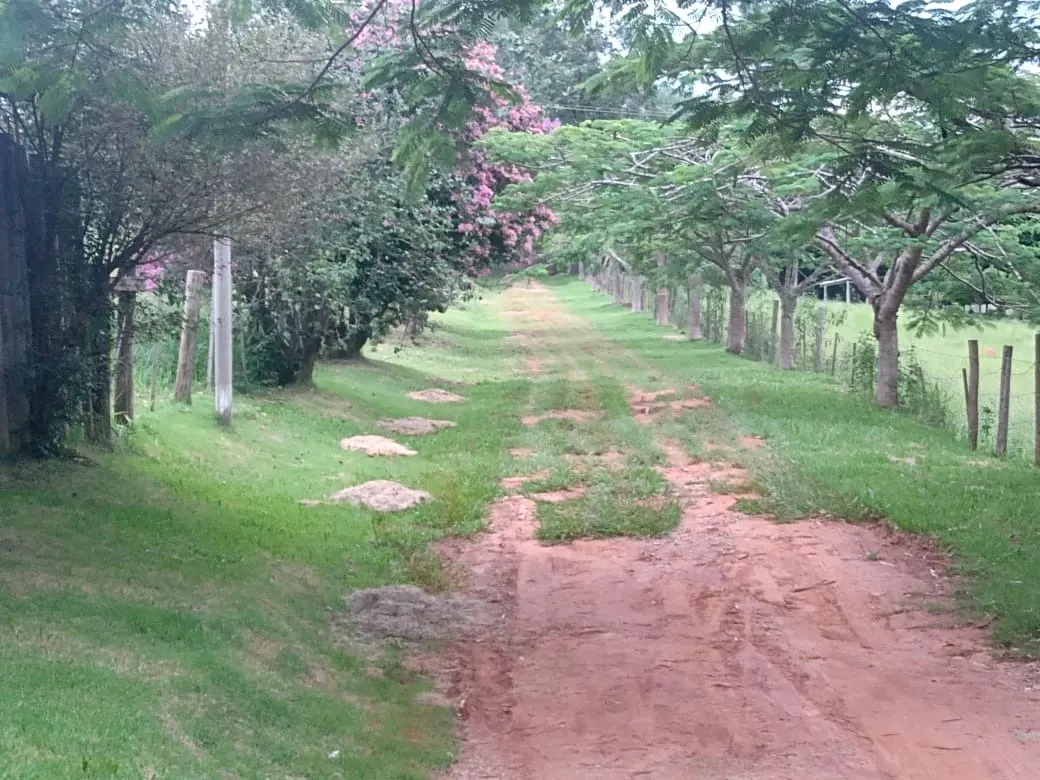Sítio à venda de 12 ha em Itapetininga, SP, Brasil