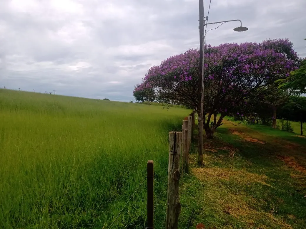 Sítio à venda de 12 ha em Itapetininga, SP, Brasil