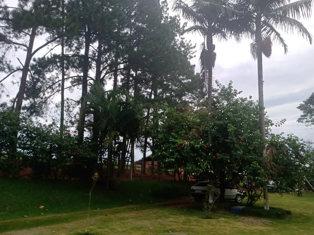 Sítio à venda de 12 ha em Itapetininga, SP, Brasil