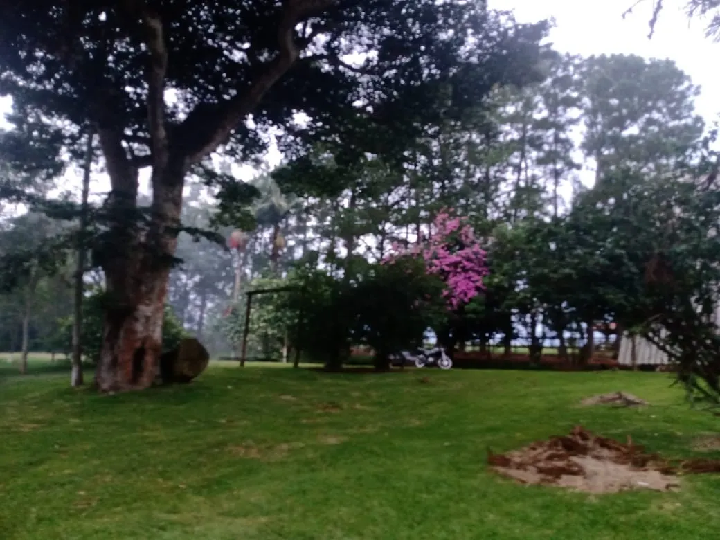 Sítio à venda de 12 ha em Itapetininga, SP, Brasil