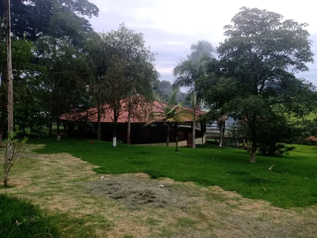 Sítio à venda de 12 ha em Itapetininga, SP, Brasil