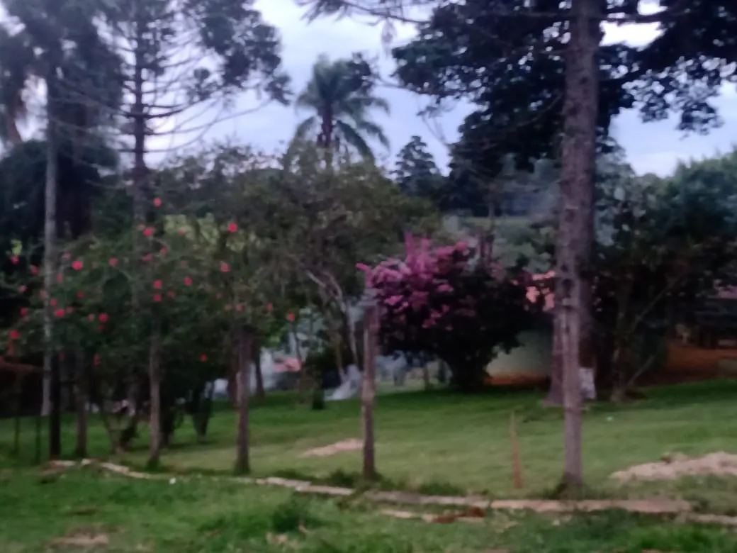 Sítio à venda de 12 ha em Itapetininga, SP, Brasil