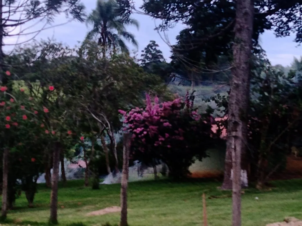 Sítio à venda de 12 ha em Itapetininga, SP, Brasil