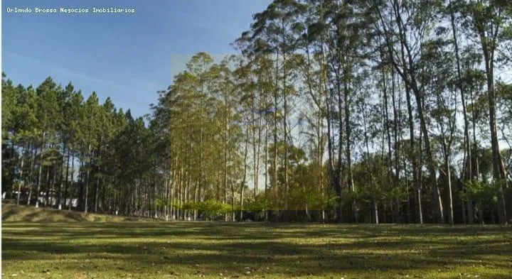 Sítio à venda de 30 ha em Cotia, SP, Brasil