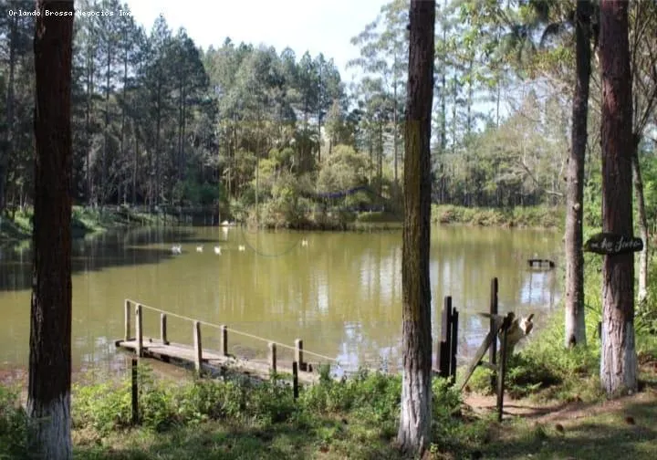 Sítio à venda de 30 ha em Cotia, SP, Brasil