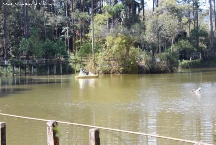 Sítio à venda de 30 ha em Cotia, SP, Brasil