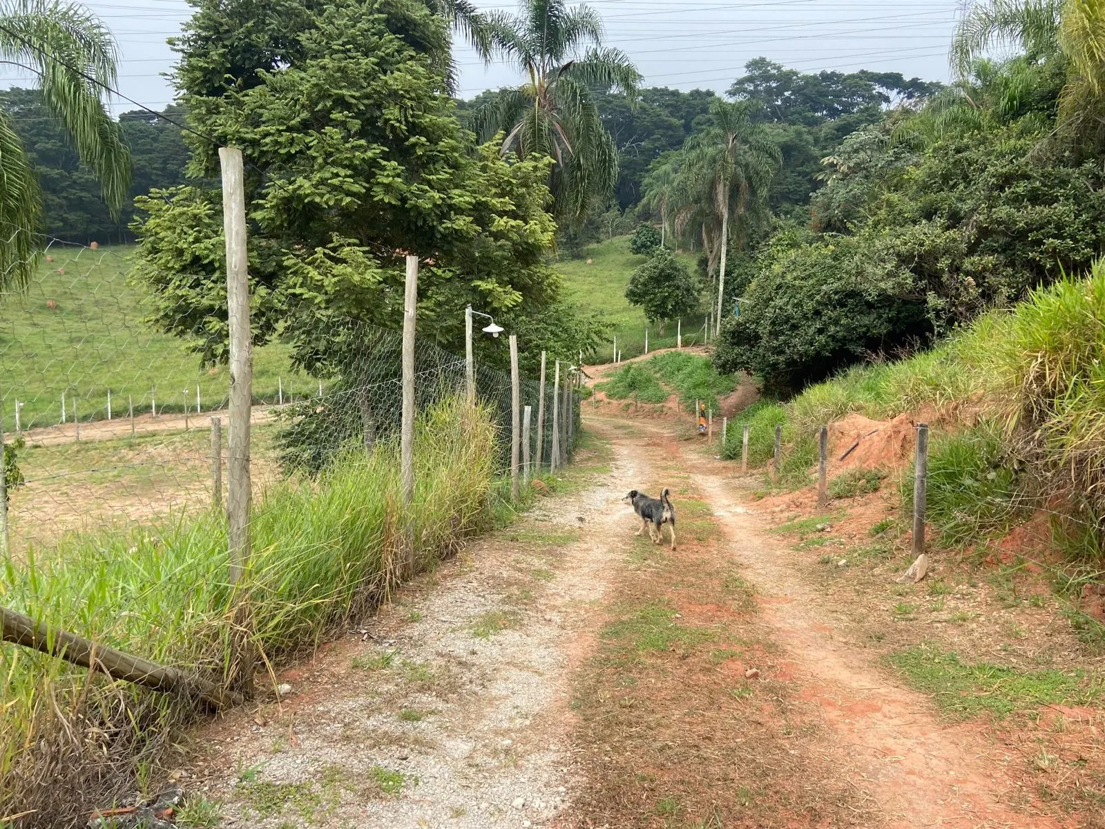 Chácara à venda de 1.300 m² em Caçapava, SP, Brasil