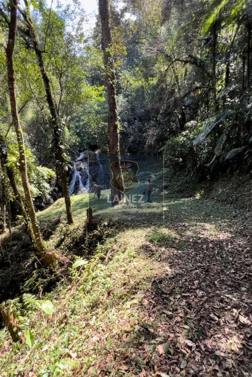 Sítio à venda de 36 ha em Miracatu, SP, Brasil