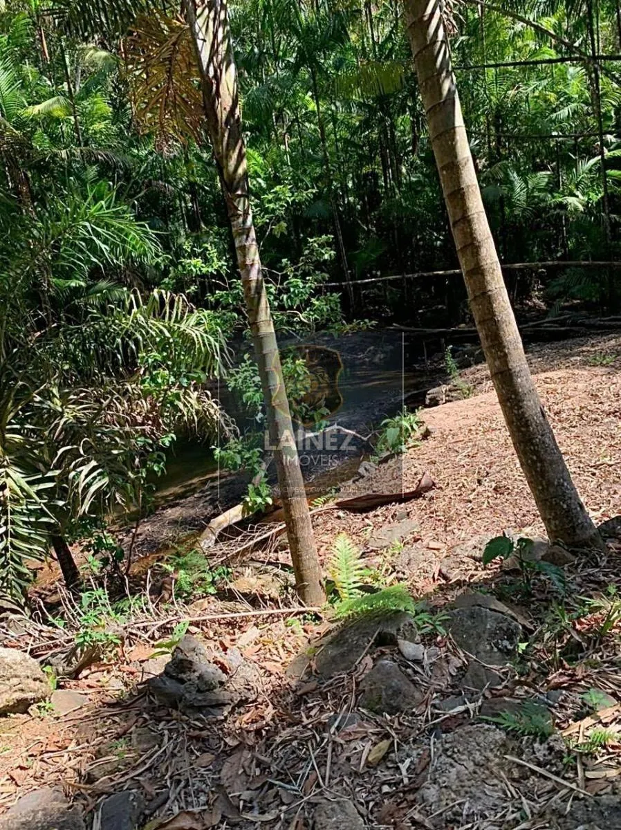 Sítio à venda de 36 ha em Miracatu, SP, Brasil
