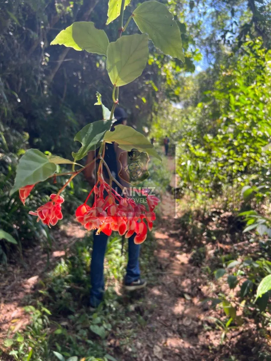 Sítio à venda de 36 ha em Miracatu, SP, Brasil