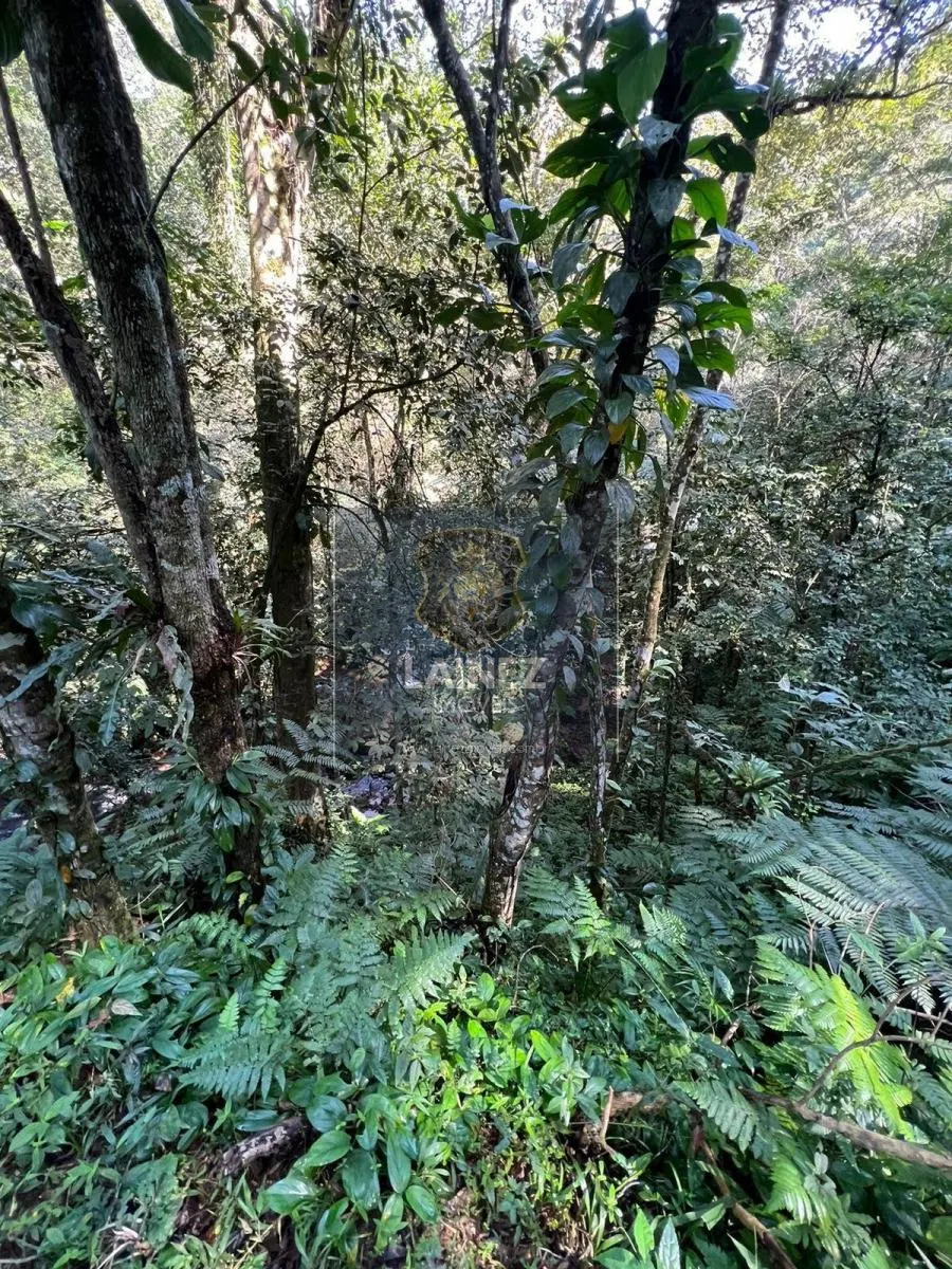 Sítio à venda de 36 ha em Miracatu, SP, Brasil