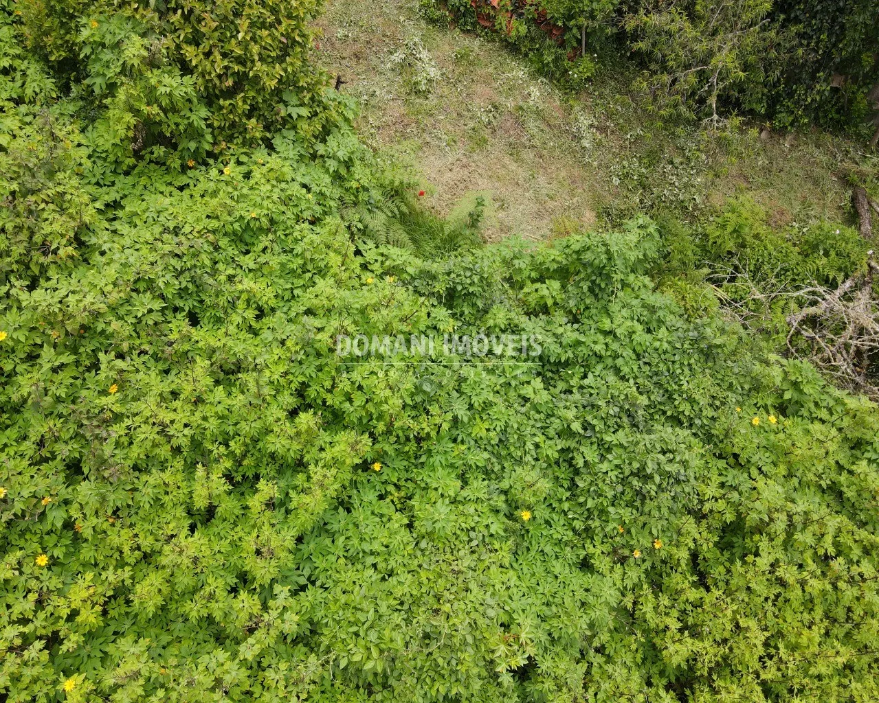 Plot for sale of 1,300 m² in Campos do Jordão, SP, Brazil