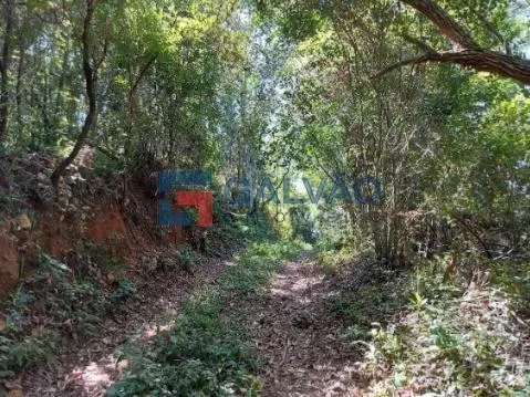 Sítio à venda de 6 ha em Jarinu, SP, Brasil