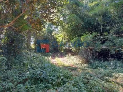 Sítio à venda de 6 ha em Jarinu, SP, Brasil