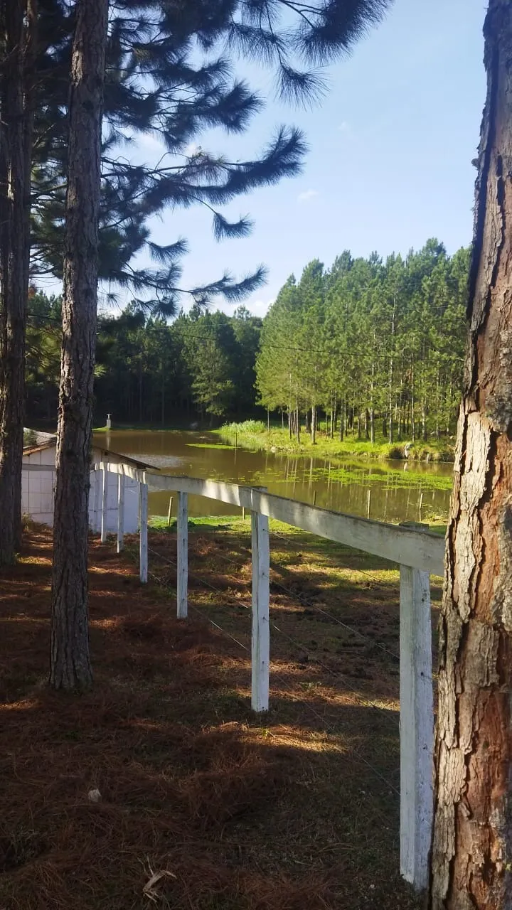 Fazenda à venda de 232 ha em Itapeva, SP, Brasil