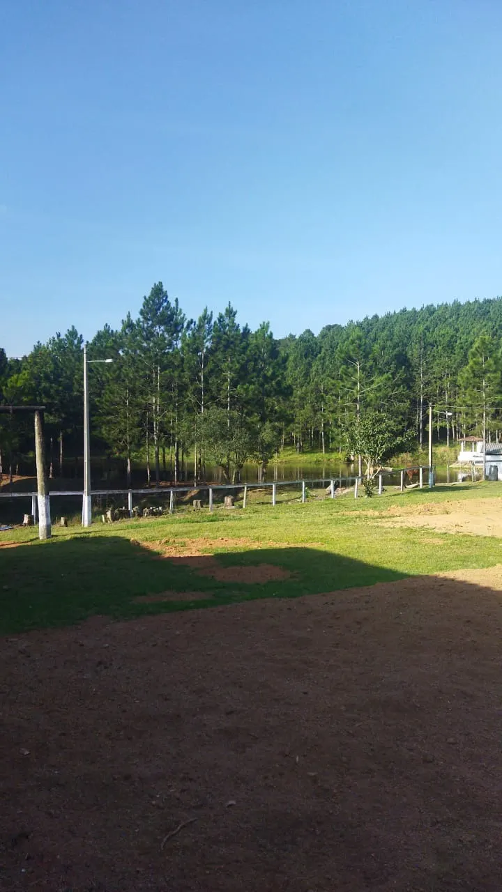 Fazenda à venda de 232 ha em Itapeva, SP, Brasil