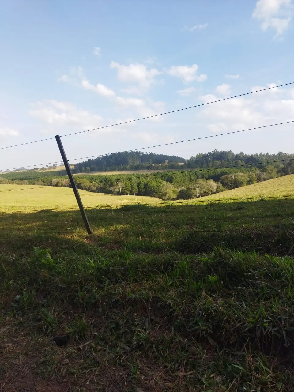 Fazenda à venda de 232 ha em Itapeva, SP, Brasil