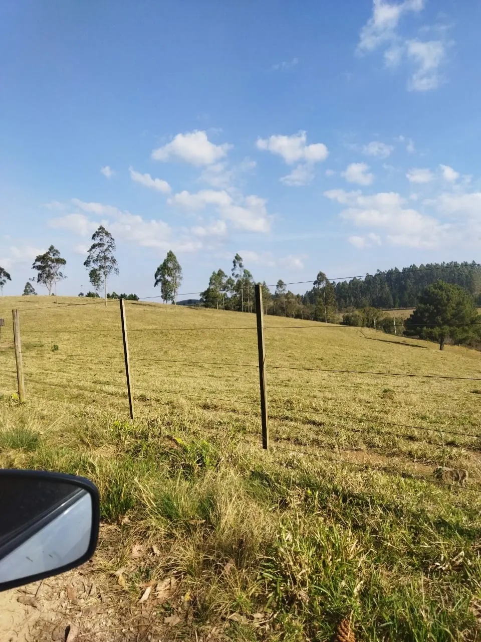 Fazenda à venda de 232 ha em Itapeva, SP, Brasil