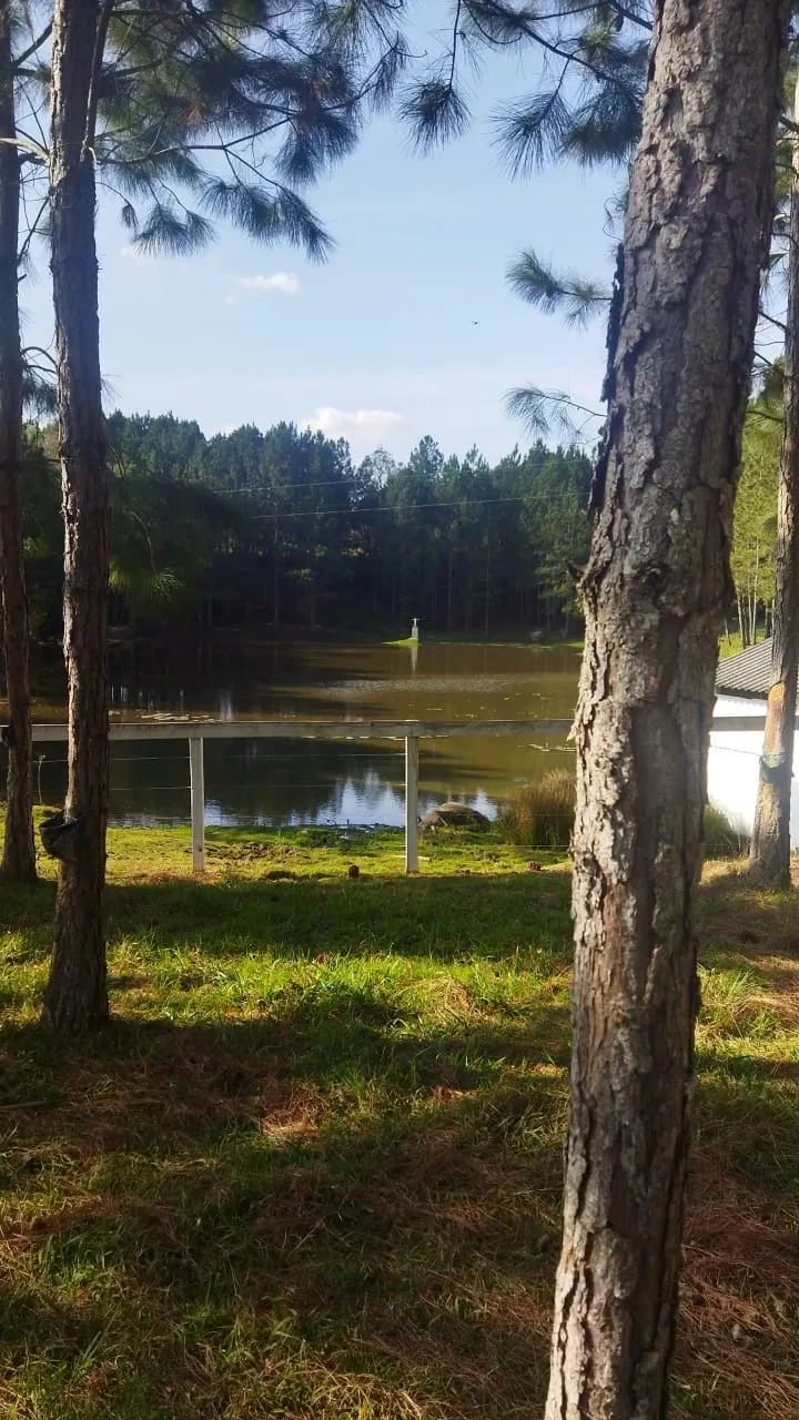 Fazenda à venda de 232 ha em Itapeva, SP, Brasil