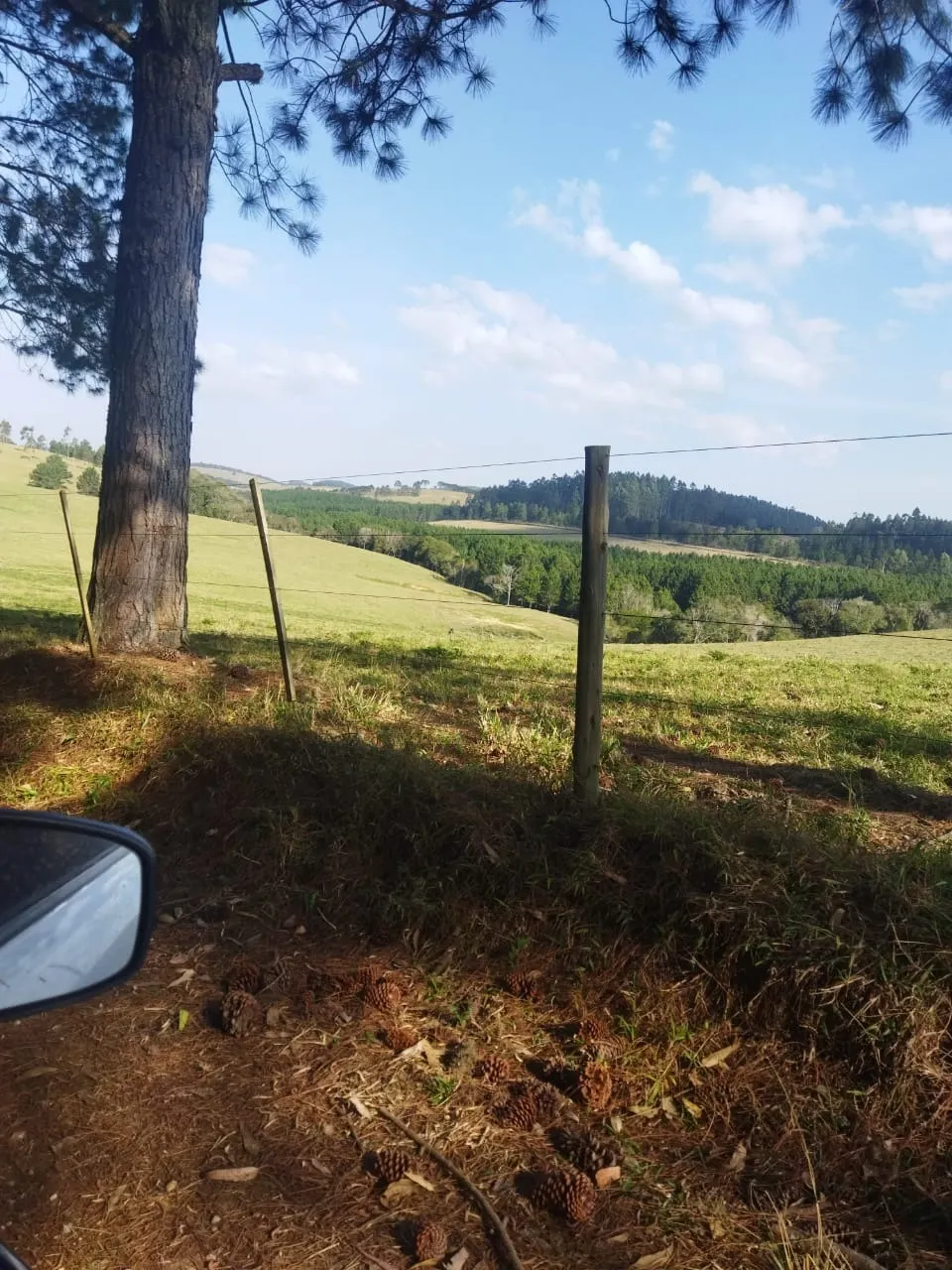 Fazenda à venda de 232 ha em Itapeva, SP, Brasil