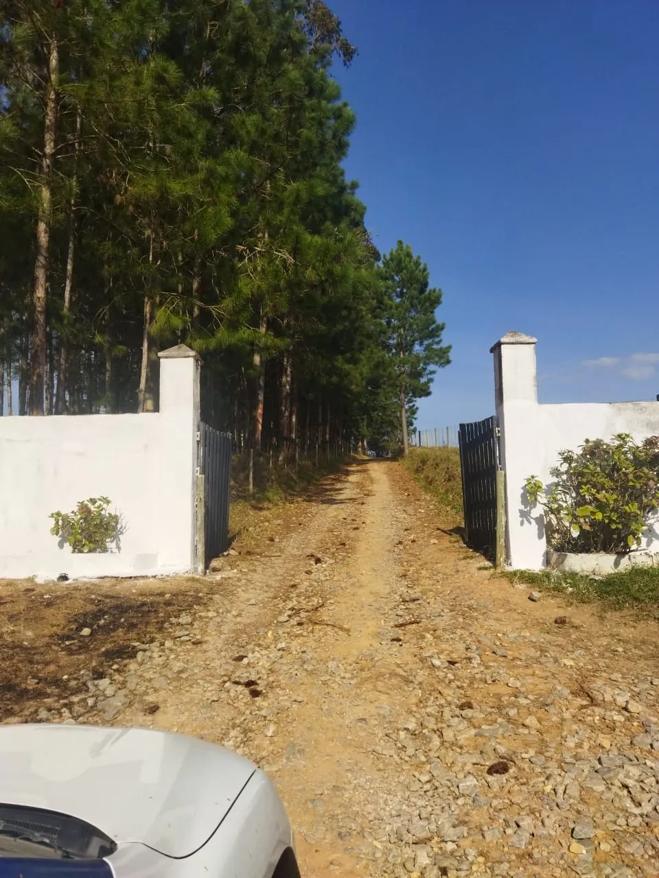Fazenda à venda de 232 ha em Itapeva, SP, Brasil