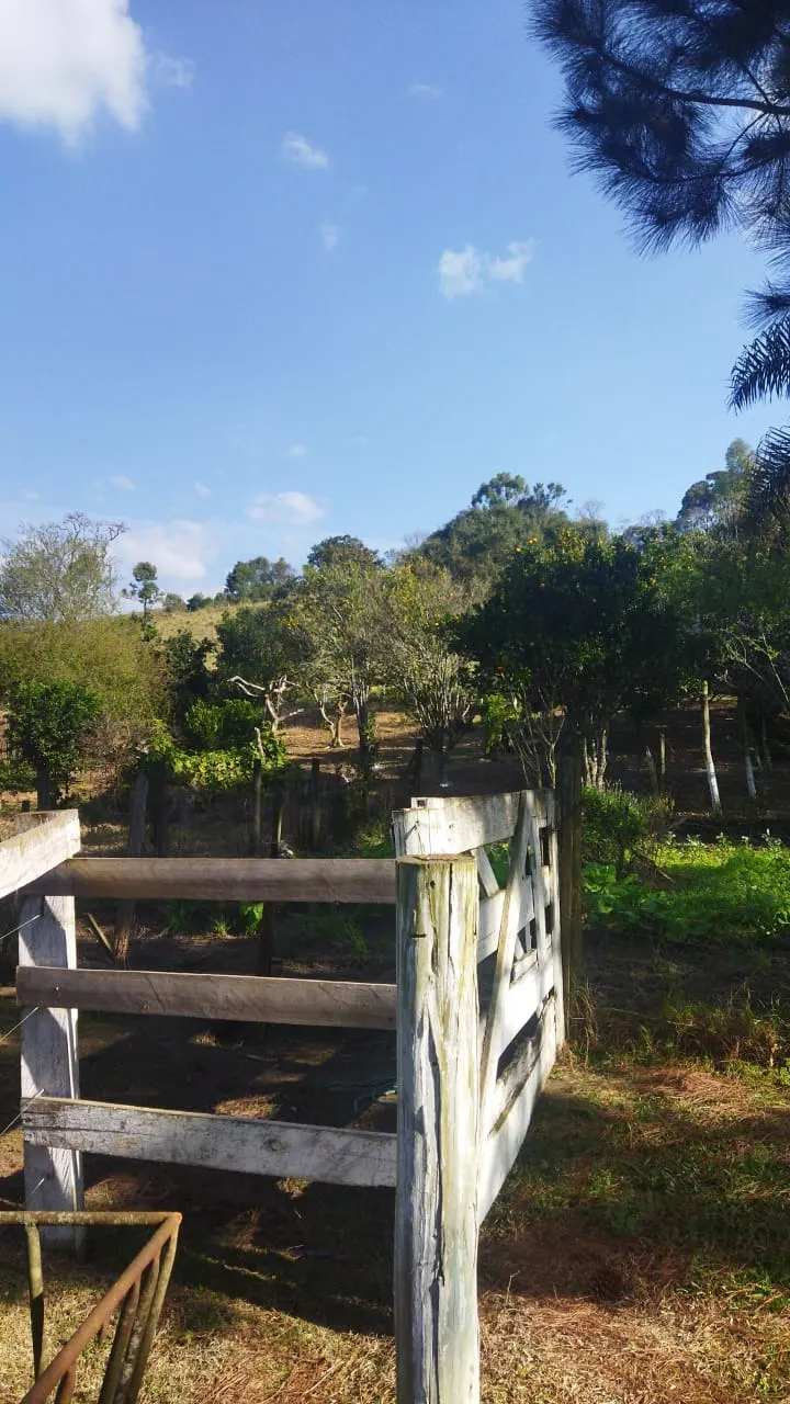Fazenda à venda de 232 ha em Itapeva, SP, Brasil