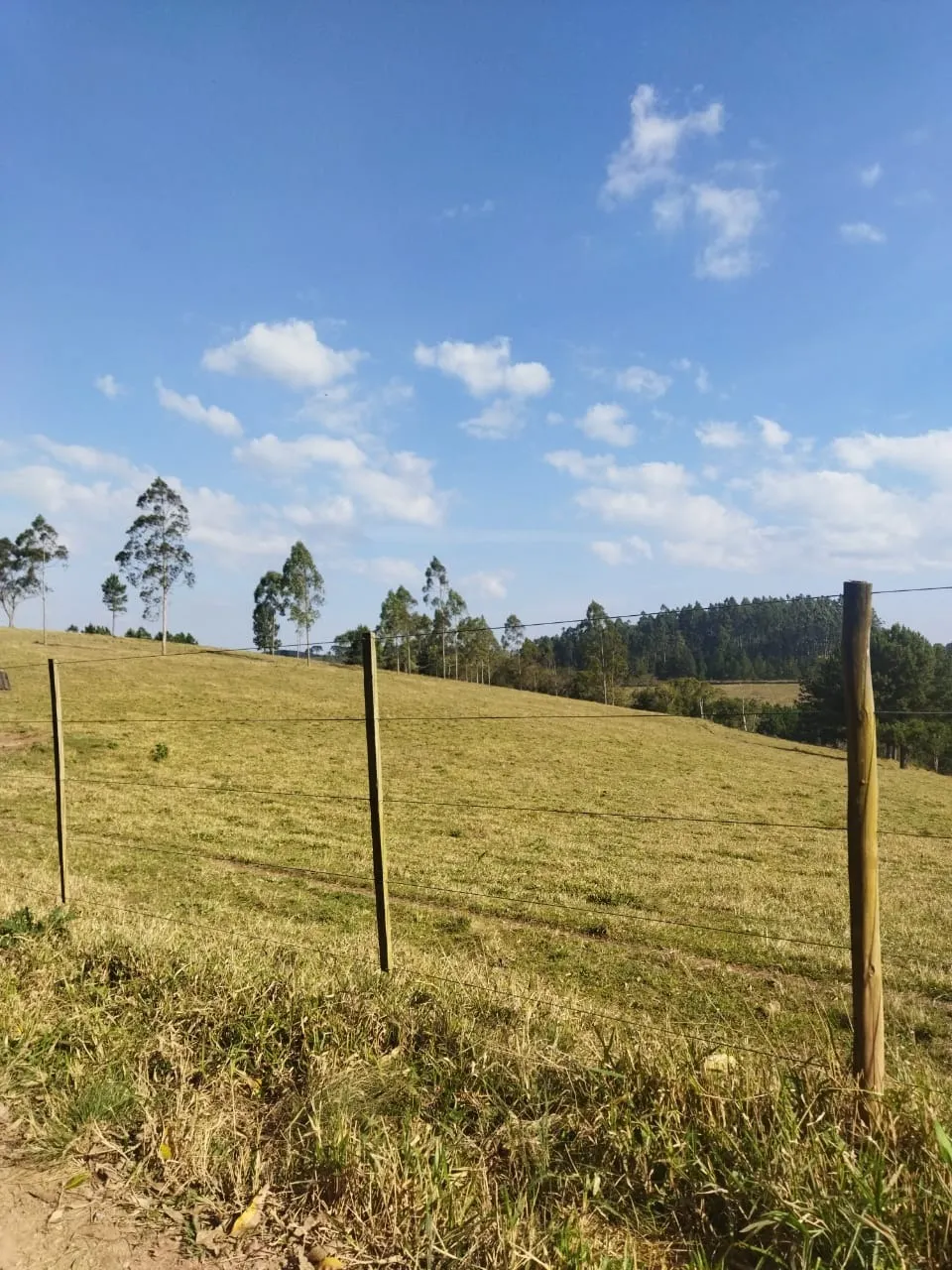 Fazenda à venda de 232 ha em Itapeva, SP, Brasil