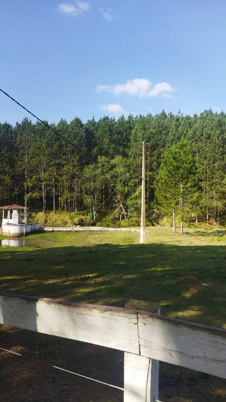 Fazenda à venda de 232 ha em Itapeva, SP, Brasil