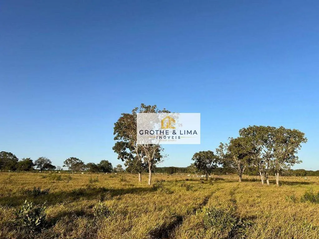 Fazenda à venda de 450 ha em Água Clara, MS, Brasil