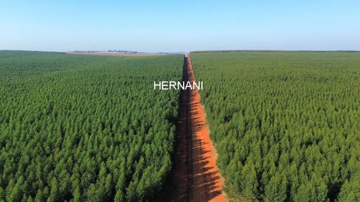 Fazenda à venda de 777 ha em Itu, SP, Brasil