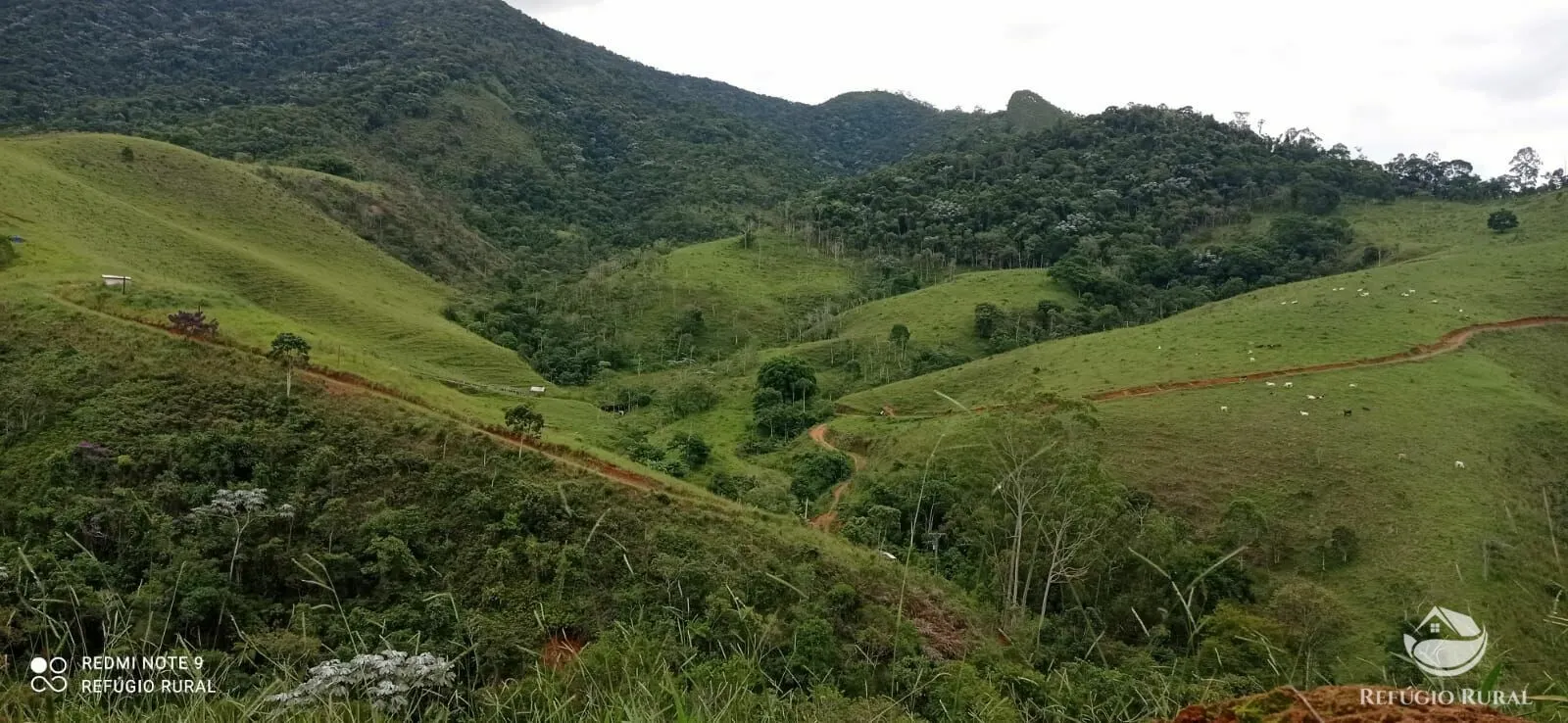 Terreno à venda de 145 ha em Monteiro Lobato, SP, Brasil