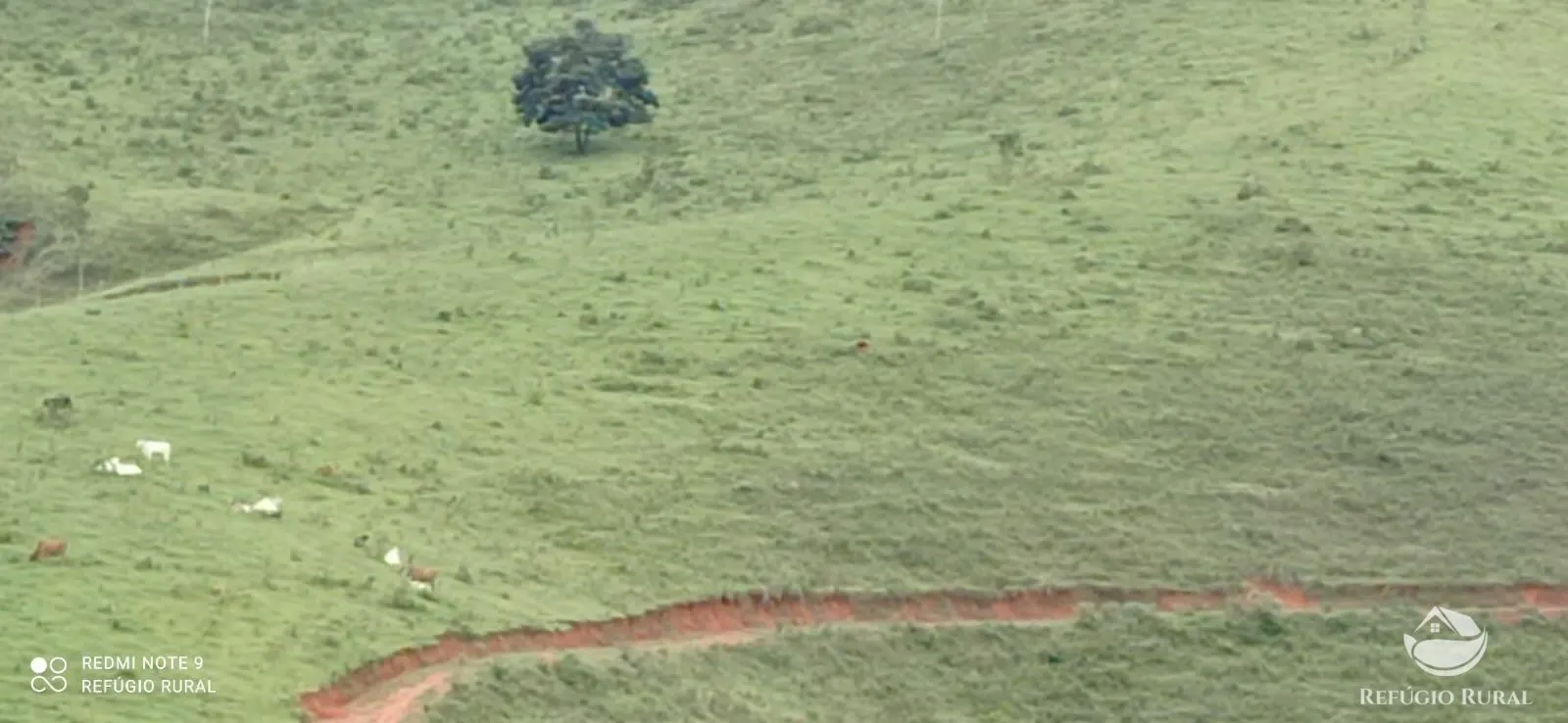 Terreno à venda de 145 ha em Monteiro Lobato, SP, Brasil