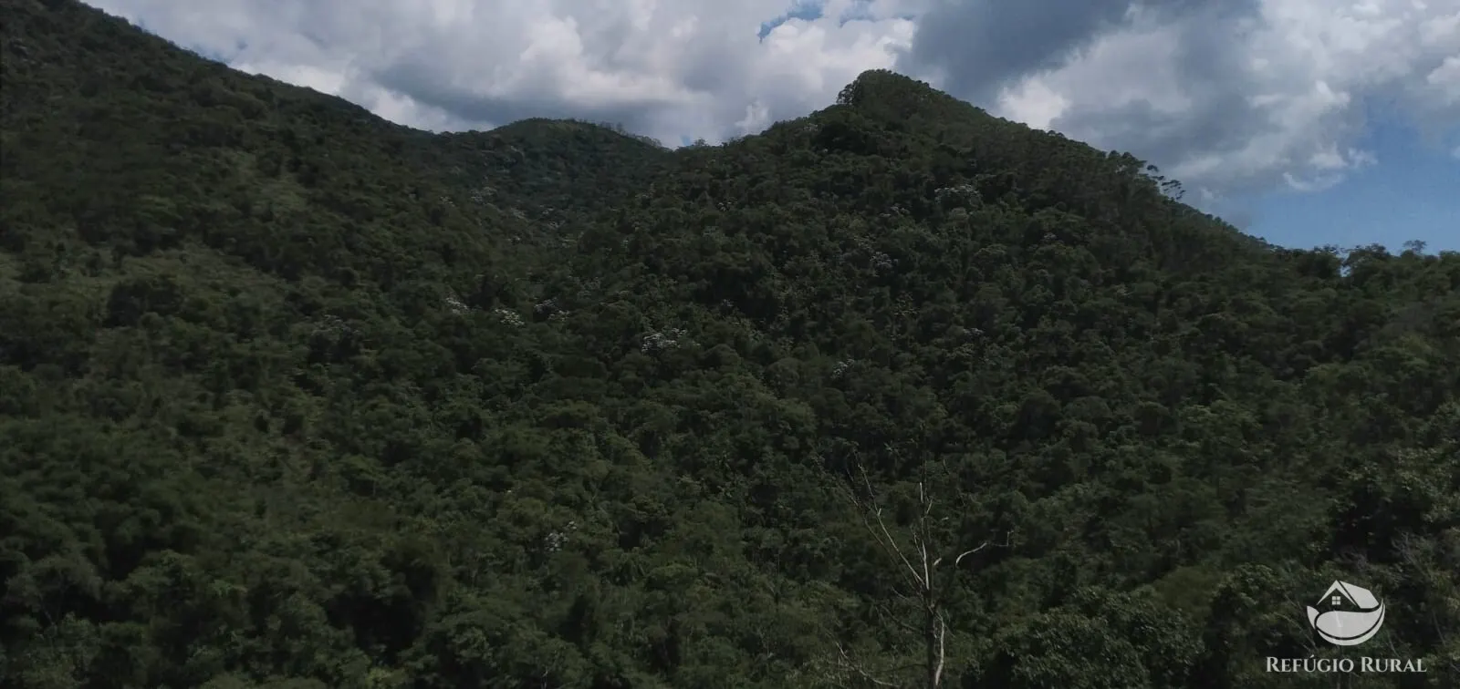 Terreno à venda de 145 ha em Monteiro Lobato, SP, Brasil
