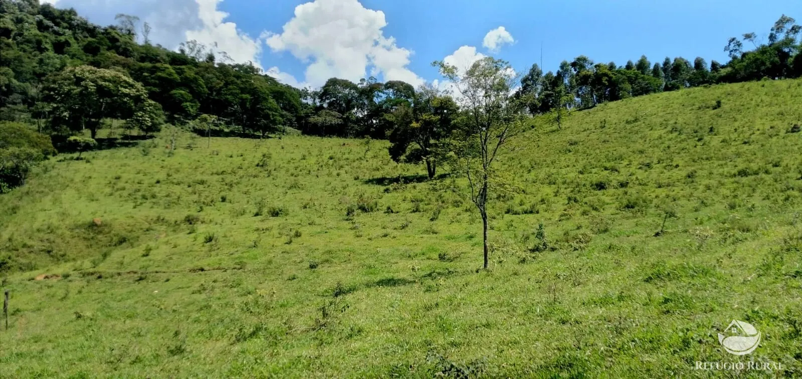 Terreno à venda de 145 ha em Monteiro Lobato, SP, Brasil
