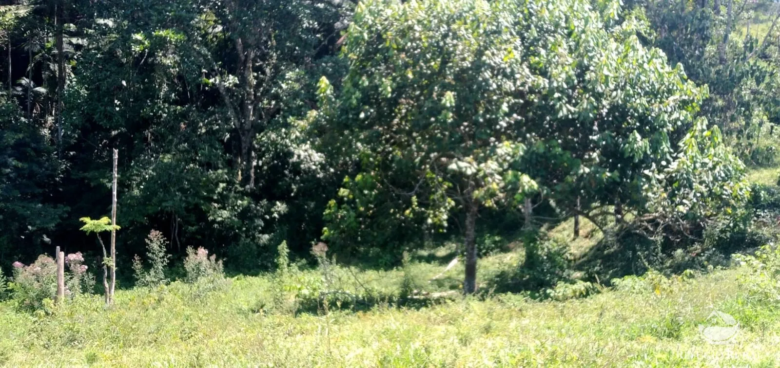 Terreno à venda de 145 ha em Monteiro Lobato, SP, Brasil